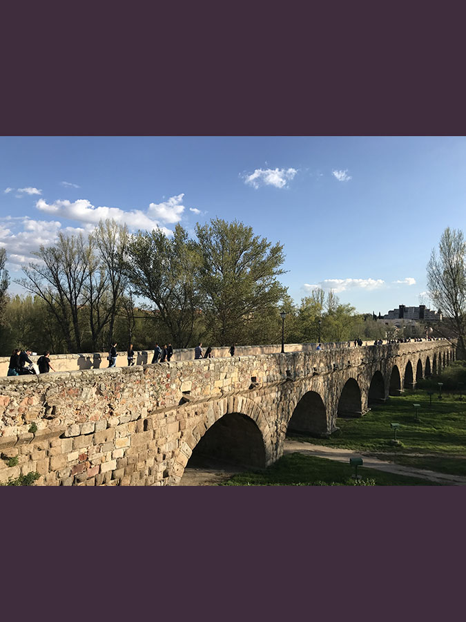 Puente Romano. Salamanca
